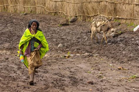Drought In Ethiopia A Déjà Vu Famine