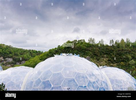 The Biomes At The Eden Project In Cornwall Uk Stock Photo Alamy