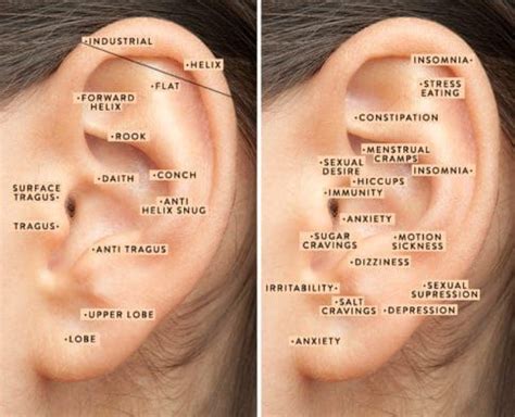 What's the meaning of the phrase 'play by ear'? Face Mapping: What Your Skin Says | Ear piercings, Daith ...