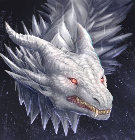 White Dragon Dragones Mitologicos Dragones Obras De Arte De Dragón