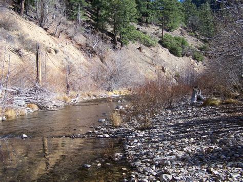 Waterfront for sale in bucks county. 3779 Bucks Lake Rd Quincy CA California Fishing Properties ...