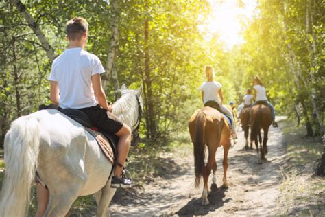 10 Best Places For Horseback Riding In Maryland Southern Trippers