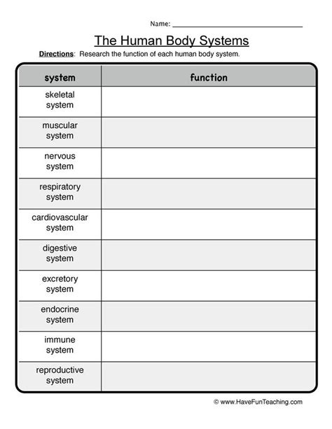 Human Body Systems Worksheet Have Fun Teaching Body Systems