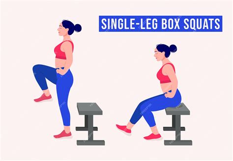 Premium Vector Single Leg Box Squats Exercise Woman Workout Fitness Aerobic And Exercises