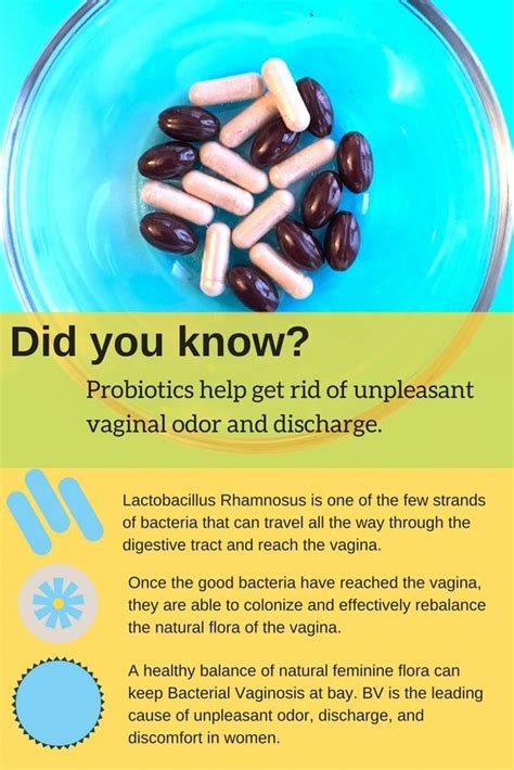 Can Probiotics Heal Bv Bacterial Vaginosis Prevention Coping And