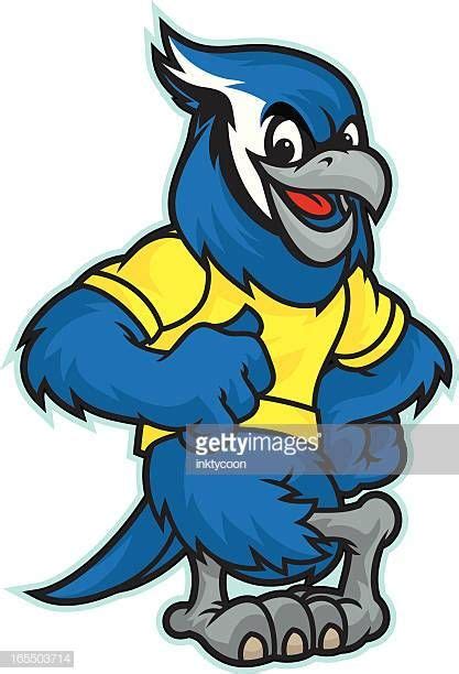 Worlds Best Blue Jay Mascot Stock Vector Art And Graphics Getty