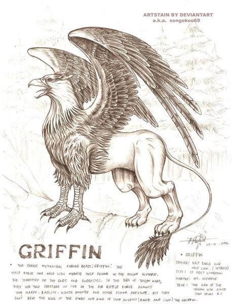 Griffin By Artstain Harry Potter Creatures Mythical Creatures Art