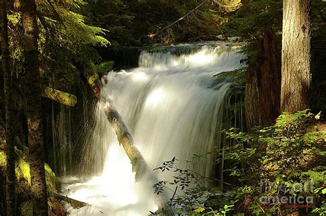 Big Spring Creek Falls Photograph By Steve Warnstaff Pixels