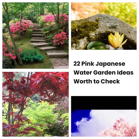 22 Pink Japanese Water Garden Ideas Worth To Check Sharonsable