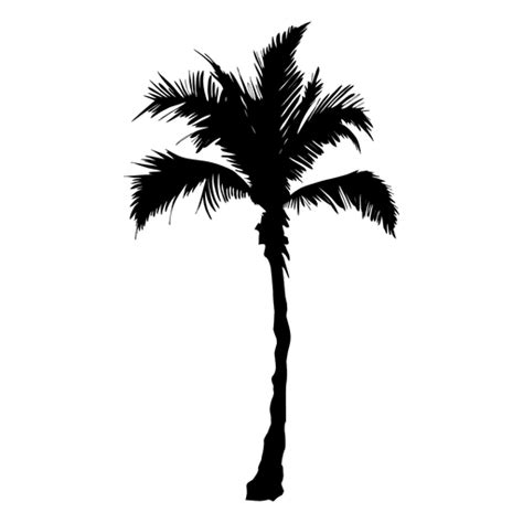 palm beach palm tree transparent png svg vector file