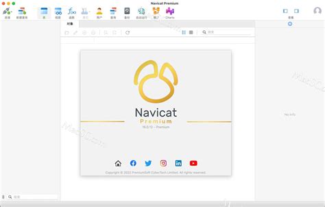 Navicat Premium 16 数据库管理软件macwin中文激活版 哔哩哔哩