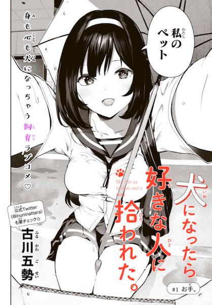 Inu Ni Nattara Suki Na Hito Ni Hirowareta Manga Pictures