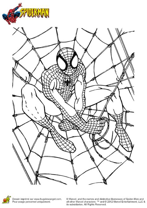 Coloriage Spiderman Sur Sa Toile