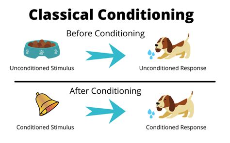 Types Of Learning Classical Conditioning 20 Classical Conditioning