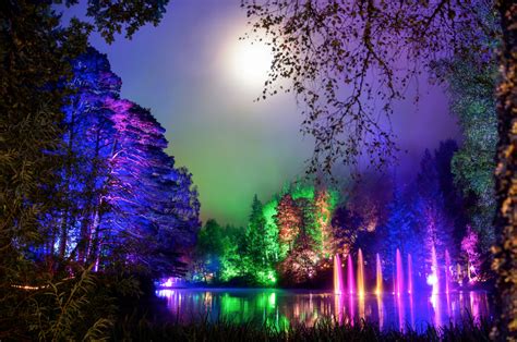 The Enchanted Forest Puts Visitors Under A Spell Scotsusa