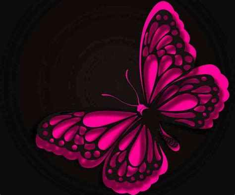 Free Download Love It Pink And Black Butterfly Cool Wallpapers