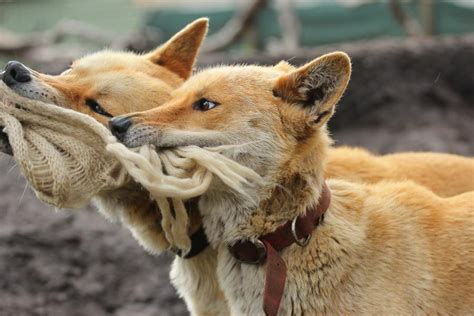 The definition of good friday is the friday before easter sunday, marking the day that jesus was crucified. Feeling Good Friday | THE PUB