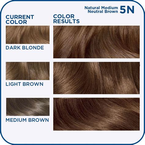 Medium Brown Neutral Hair Color Snapolidesigns