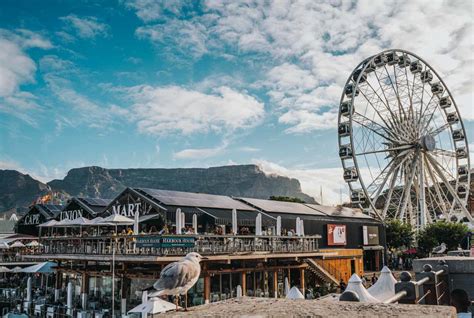 Things To Do In Cape Town A Sustainable Guide Drink Tea And Travel