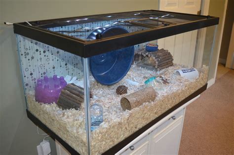 40 Gallon Breeder Tank Hamster Wese Aquarium Fish