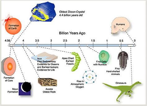 Evolution Timeline From The Formation Of The Planet Earth To The