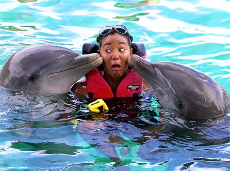Dolphin Swim Dolphin Encounters