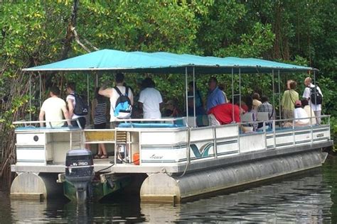 Black River Safari Tour From Montego Bay 2024