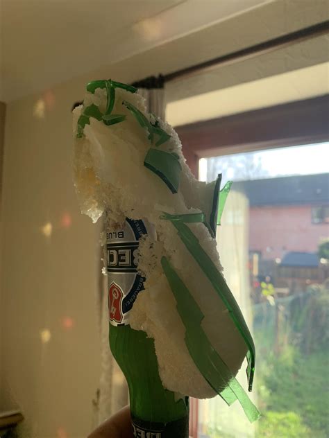 I'll just leave the oven door open and heat the place back up by the weekend. This bottle of beer I left in the freezer overnight by ...