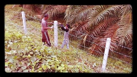Fadilla seseorang yang berasal dari keluarga miskin tetapi memiliki tapi memiliki semangat yag tinggi untuk menjadi orang yang pandai. Kerja keras - YouTube
