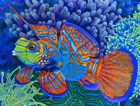 Carolyn Steele Tropical Art Print Scuba Divers And Snorkelers Etsy