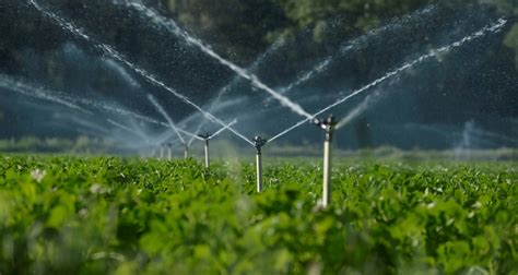 10 Step Guide To Designing An Efficient Irrigation Project