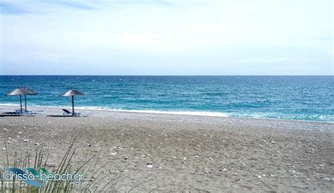 Αυτή τη φορά τα γεγονότα διαδραματίστηκαν στη σωτηρίτσα λάρισας. Σωτηριτσα - Παράλια Λάρισας - Παραλιες Λαρισας