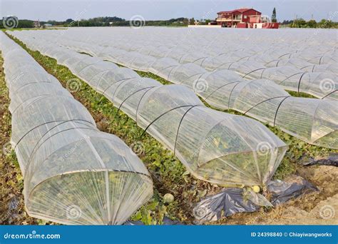 Taiwans Modern Agriculture Stock Photo Image 24398840