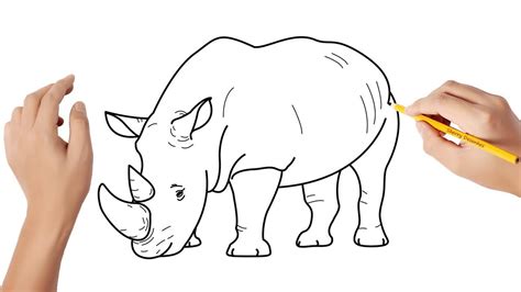 Como Desenhar Um Rinoceronte Youtube