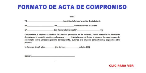 Formato De Acta De Compromiso