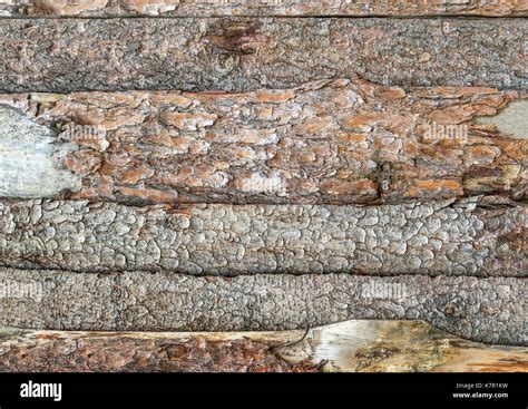 Natural Tree Bark Plank Texture Stock Photo Alamy