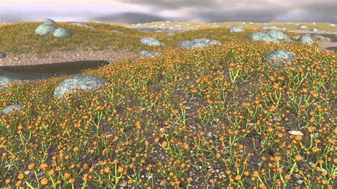 Cooksonia Una De Las Primeras Plantas Terrestres Del Mundo