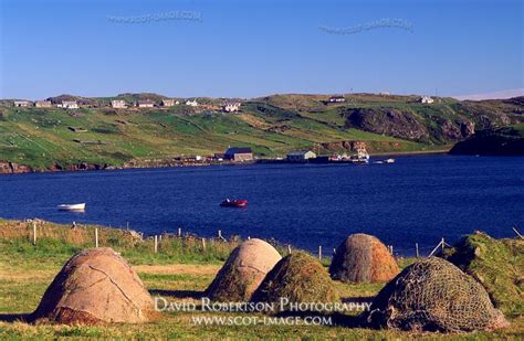 Prints And Stock Images Image Croft With Red Roof At Calbost Lewis