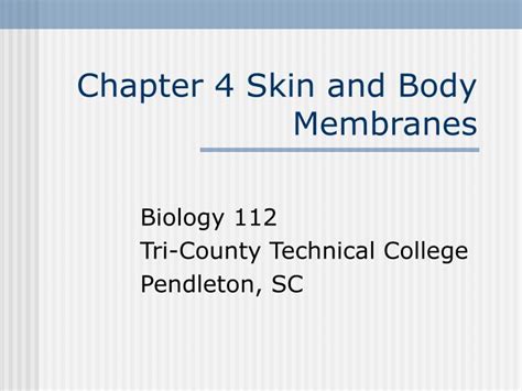 Ppt Chapter 4 Skin And Body Membranes Powerpoint Presentation Free