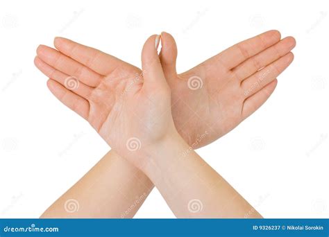 Bird Made Of Hands Stock Image Image Of Gesture Life 9326237