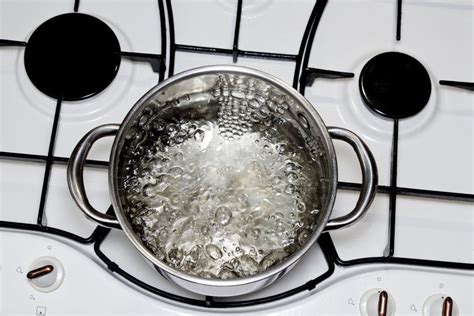 How To Boil Water Wdkx 1039