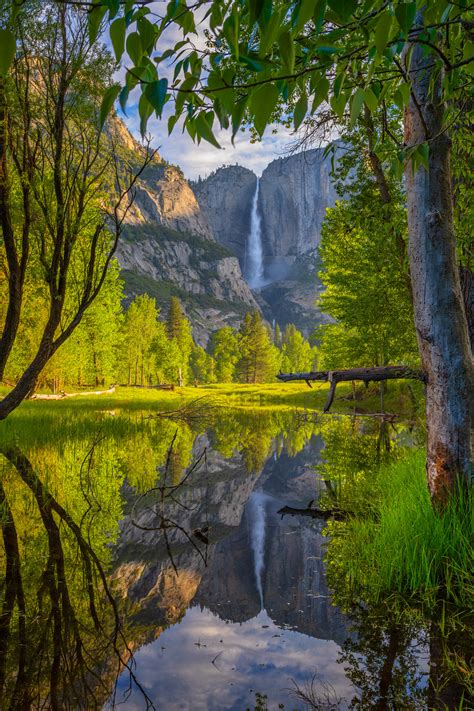 Yosemite Falls Reflection In Merced River Fine Art Print Joseph C Filer