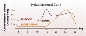 The Midwife Is In What Does Progesterone Or Progestin In Birth