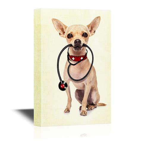 Check spelling or type a new query. 20+ Thoughtful Veterinarian Gift Ideas | Veterinarian ...