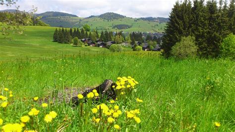 Bernau Im Schwarzwald Foto And Bild Landschaft Berge Frühling Bilder