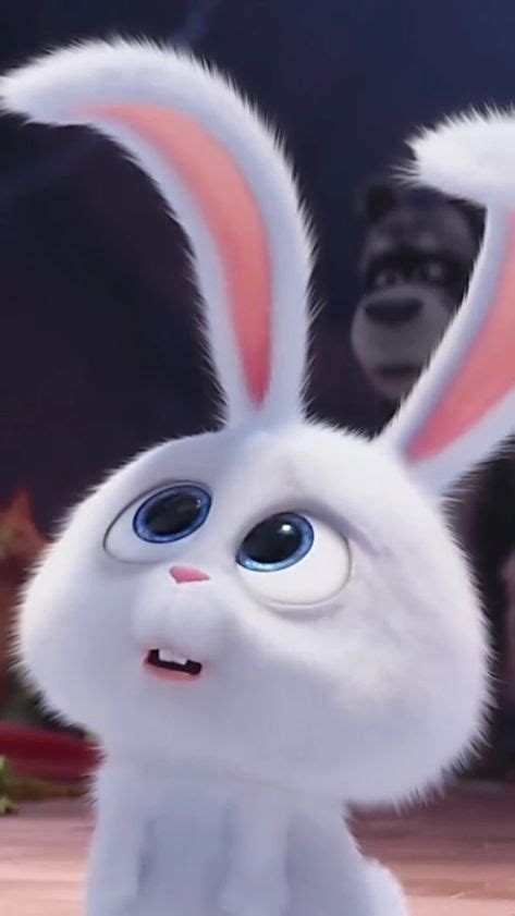 150 Little White Ideas Cute Bunny Cartoon Snowball Rabbit Cute