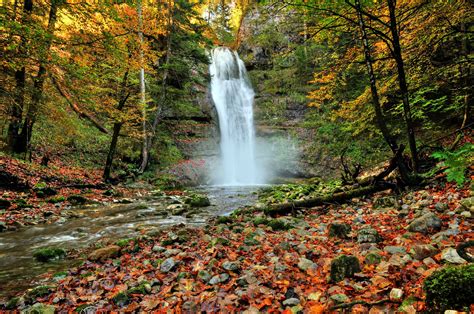 Forest Autumn Trees River Waterfall Nature Wallpaper 4277x2841