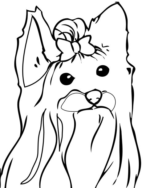 We have here coloring pages that suitable for toddlers and for preschoolers. Yorkshire Terrier HD | DibujosWiki.com