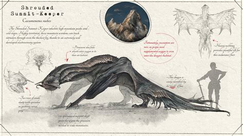 Shrouded Summit Keeper Species Dragonslayer Codex By Sawyerleeart On