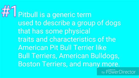 10 Interesting Facts About Pit Bulls Youtube
